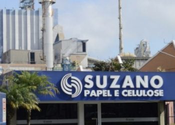 Suzano lança Programa de Estágio Superior 2023 com vagas no Maranhão.