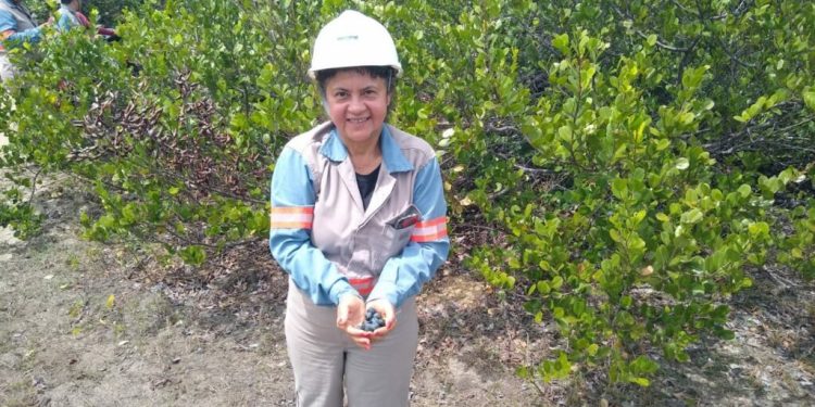 Mãe, en­ge­nhei­ra e chef de cozinha nas ho­ras va­gas.