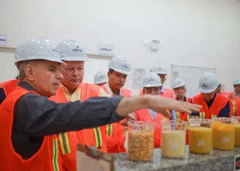 Carlos Brandão anuncia instalação de uma planta industrial do Grupo Inpasa em Balsas.