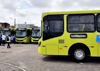 Operação Tartaruga: Rodoviários anunciam paralisação nesta quinta feira (19).