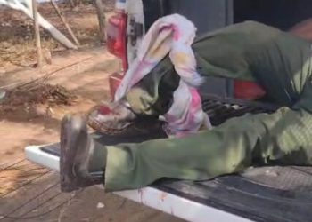 Policial atira em suspeito na Lagoa e bala perdida atinge também um cidadão na perna.