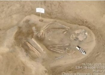 Empreiteira descobre 43 esqueletos ao fazer escavações para construção de condomínio em São Luís