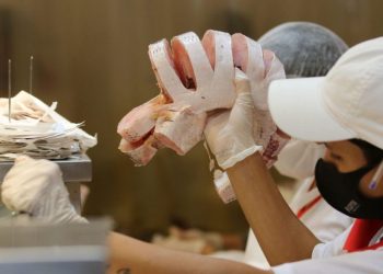 Operação ‘Semana Santa’ fiscaliza qualidade do pescado comercializado em São Luís