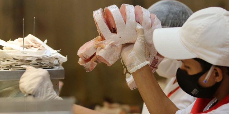 Operação ‘Semana Santa’ fiscaliza qualidade do pescado comercializado em São Luís