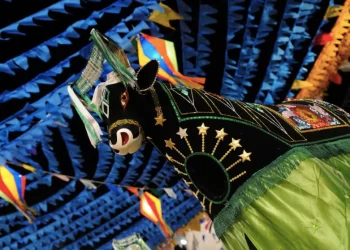 A alta expectativa para o São João 2024