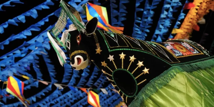 A alta expectativa para o São João 2024