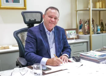 As letras do progresso: ZPE