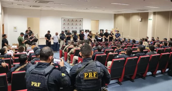 MP do Maranhão deflagra Operação Rei do Gado