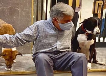 Empresário dono das marcas Land Rover e Jaguar destina herança de R$ 673 milhões para seu cachorro