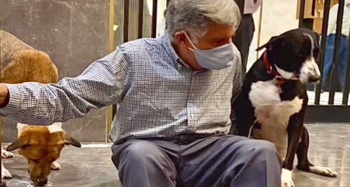 Empresário dono das marcas Land Rover e Jaguar destina herança de R$ 673 milhões para seu cachorro