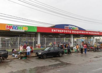 Funcionando de terça a domingo, novo entreposto aquece mercado de pescados em São Luís