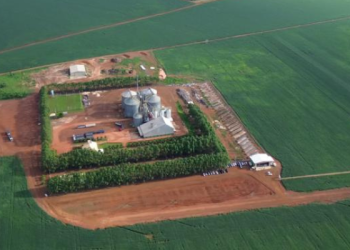 O Tocantins Colhe os Frutos do Agronegócio