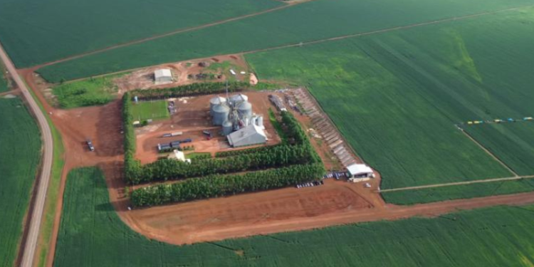 O Tocantins Colhe os Frutos do Agronegócio