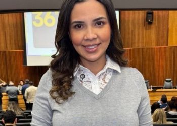 Karen Barros assume vice-presidência da Procons Brasil