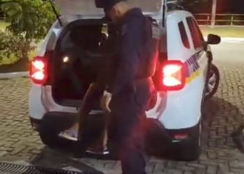 Guarda Municipal impede feminicídio e captura agressor armado de faca no Centro, em São Luís