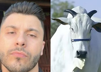 Murilo Huff compra vaca de R$ 17 milhões e diz: “É investimento, não ostentação”.