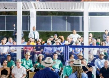 Sinfra prepara o Parque Independência para a Expoema 2025