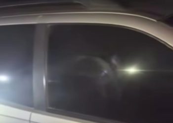 Corpo em decomposição é achado dentro de pick-up abandonada em Guimarães