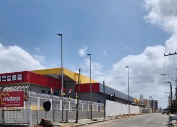 Grupo Mateus é alvo de críticas após corte de árvores de quase três décadas no São Francisco