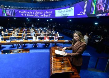 Ações dos Estados Brasileiros podem reduzir feminicídios, afirmam debatedores no Senado